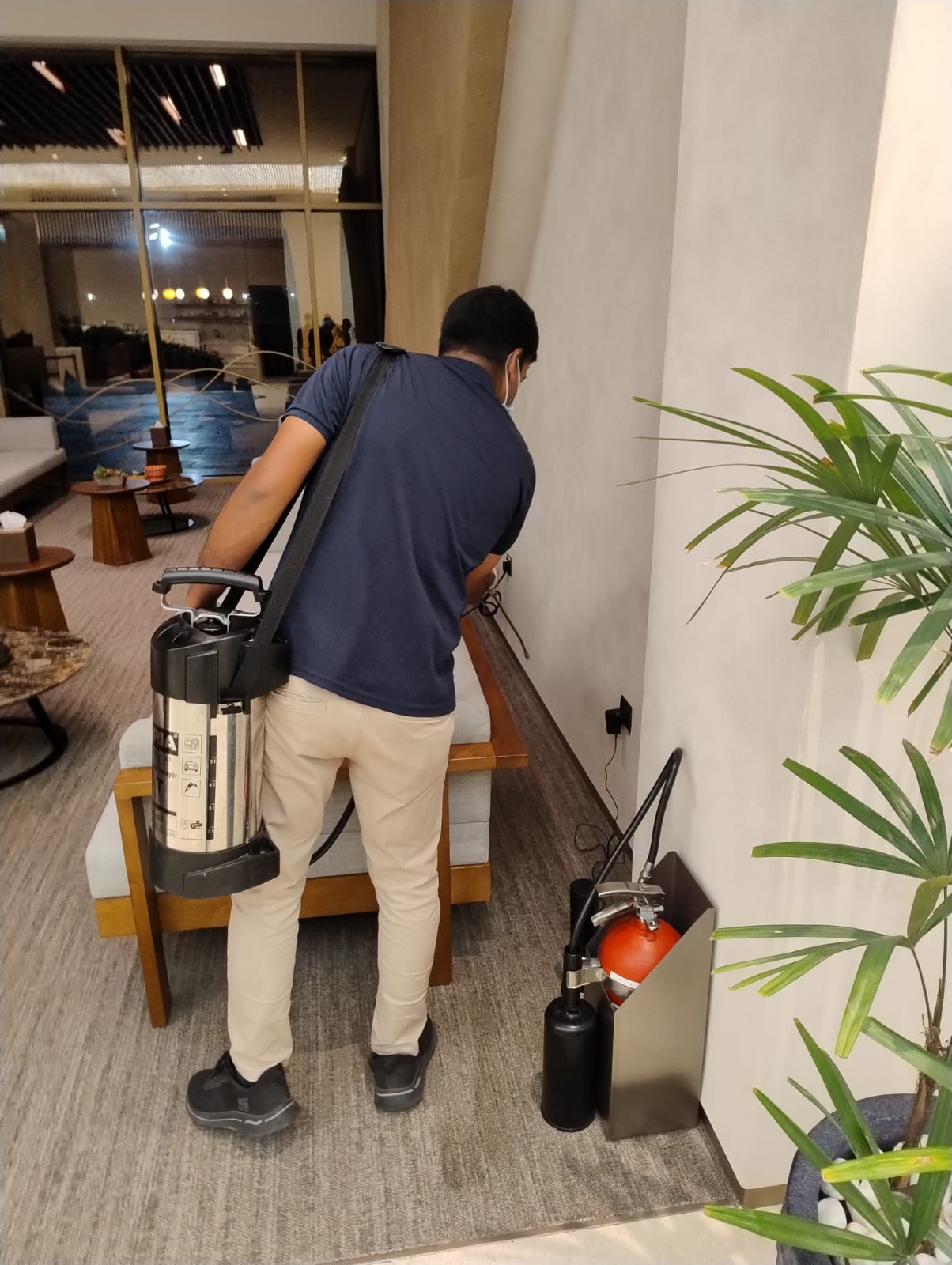 Novaroots Project 66